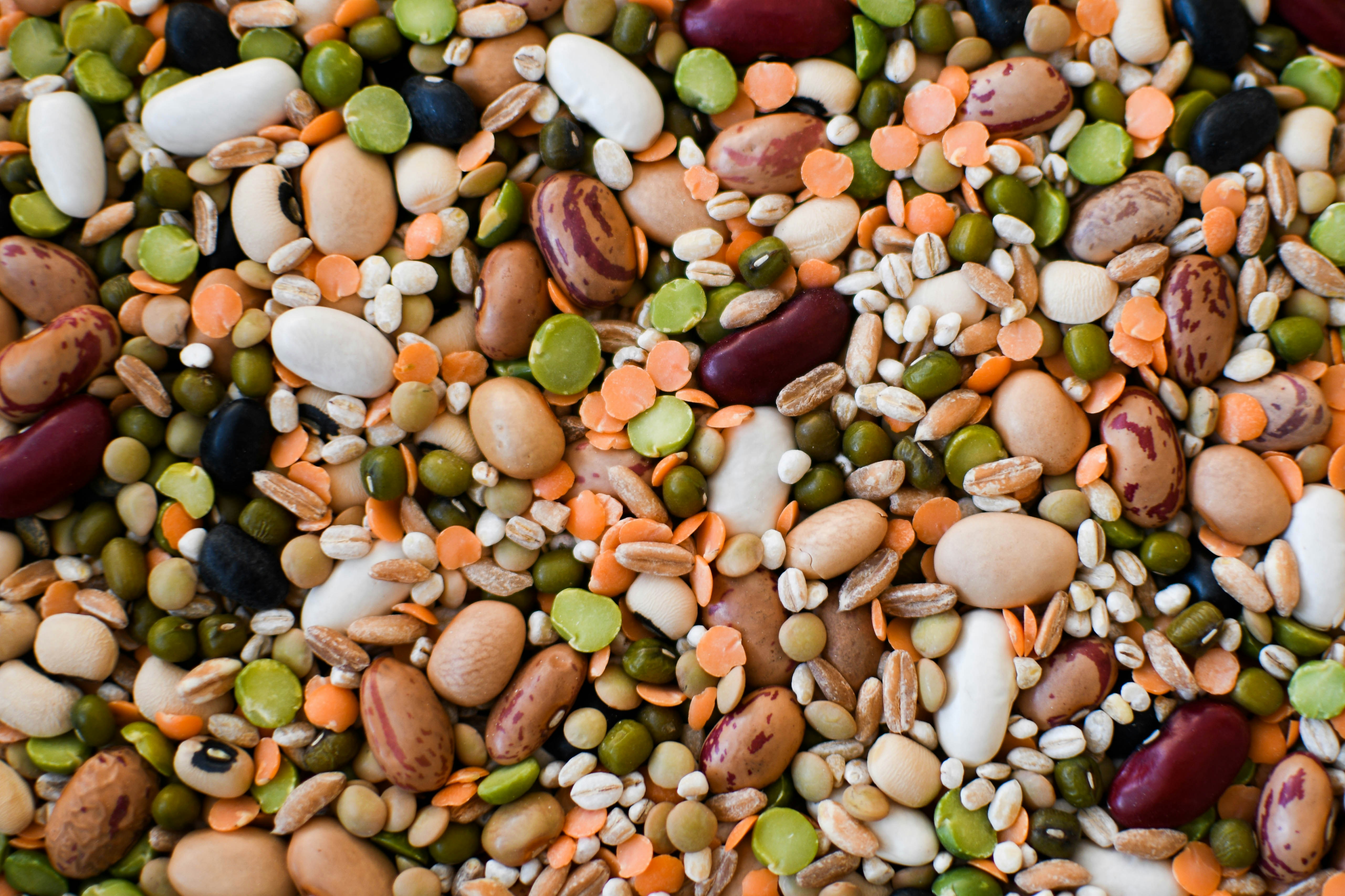 Assorted lentils, chickpeas, peas and beans